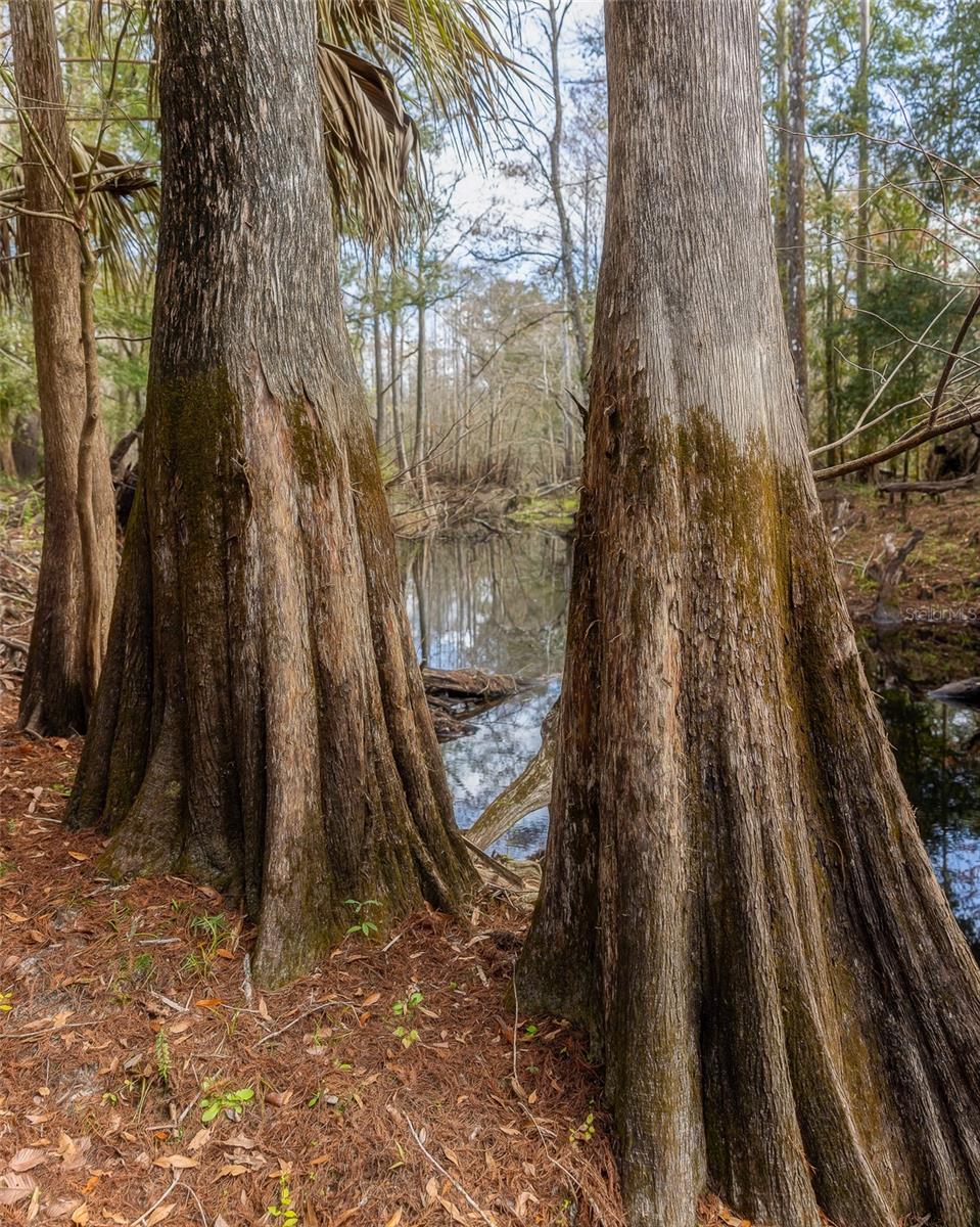 PAUL BEAUCHAMPS SUB - Residential