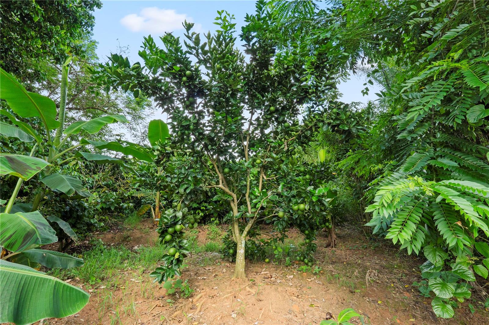 BO. HOYOS PLANES - Residential