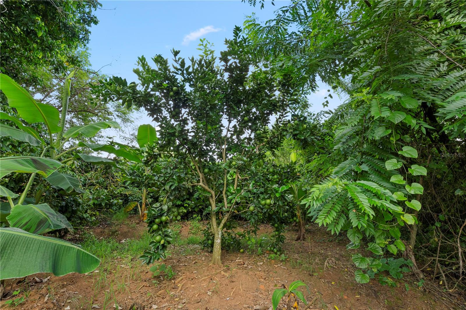 BO. HOYOS PLANES - Residential