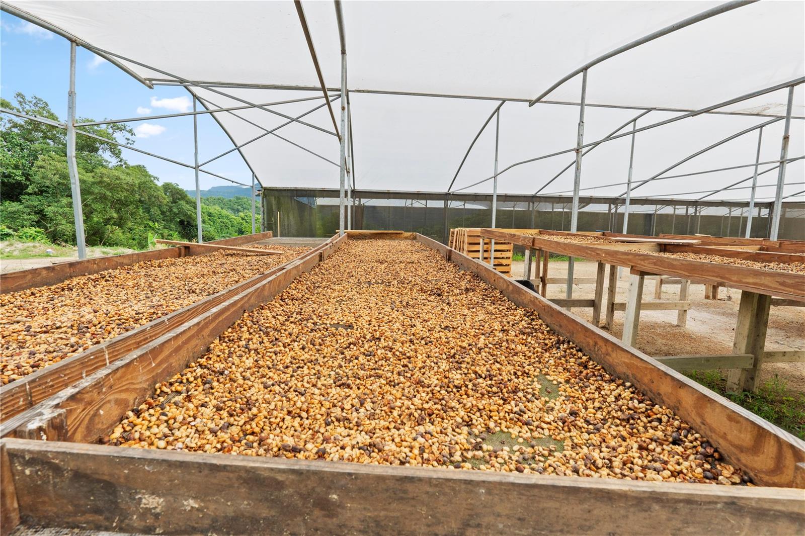 BO. HOYOS PLANES - Residential