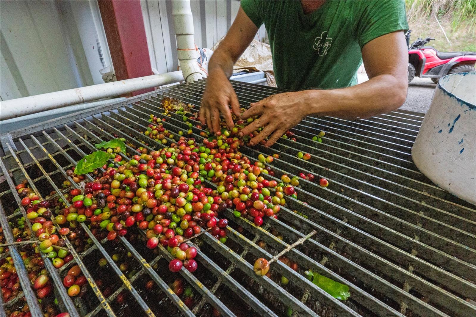 BO. HOYOS PLANES - Residential