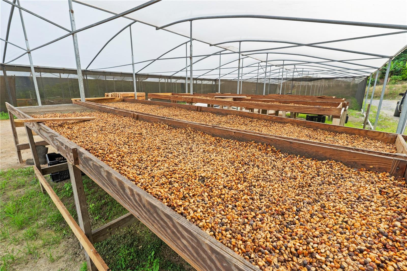 BO. HOYOS PLANES - Residential