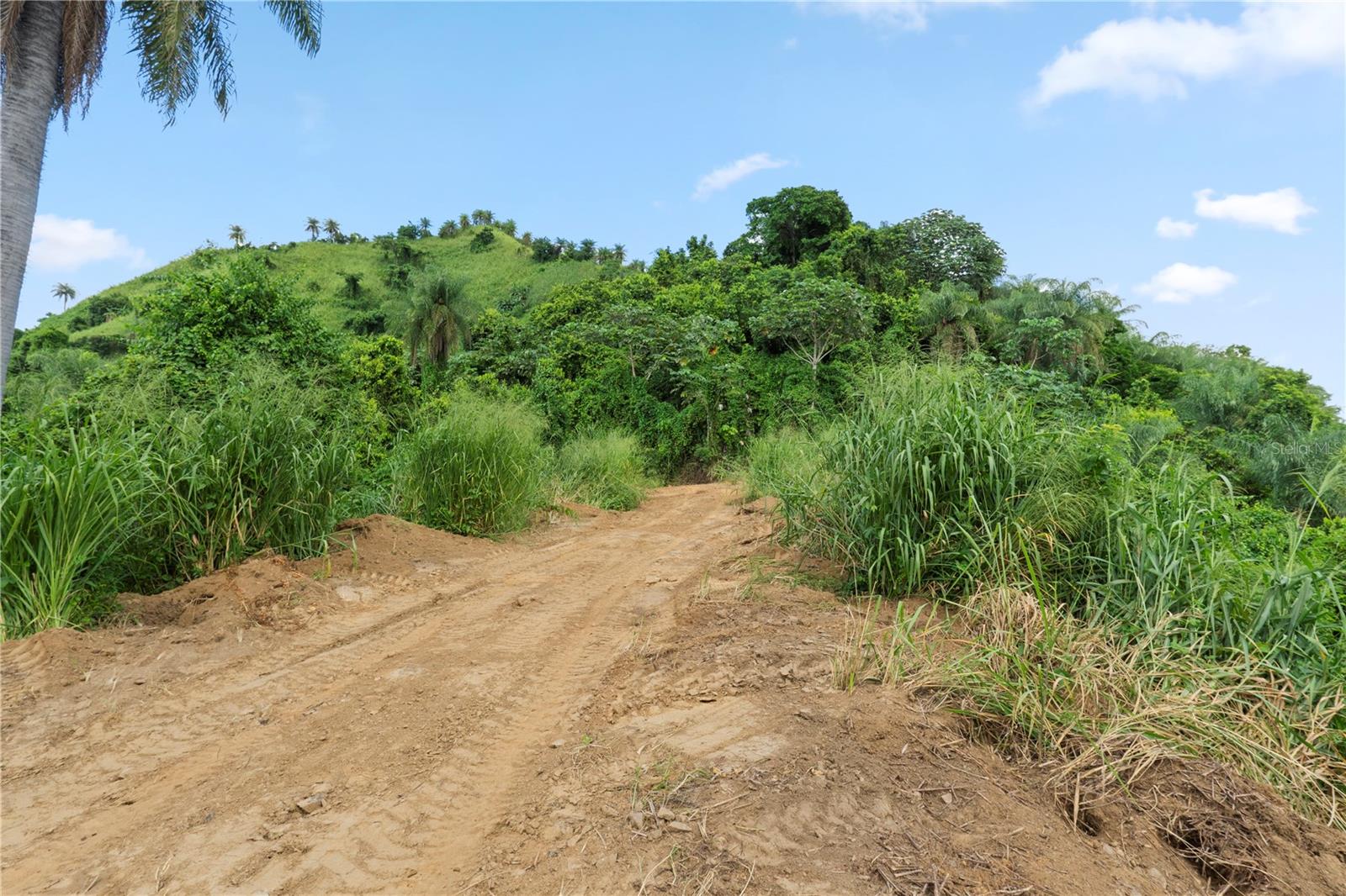 BO. HOYOS PLANES - Residential