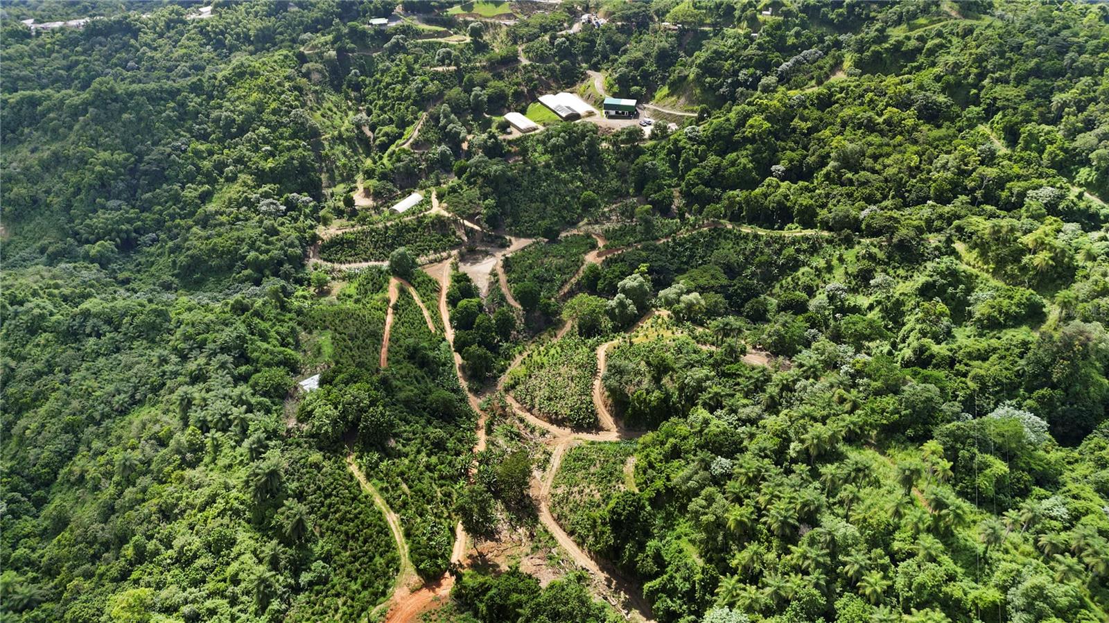 Bo. Hoyos Planes CARR. 531 KM  HM7