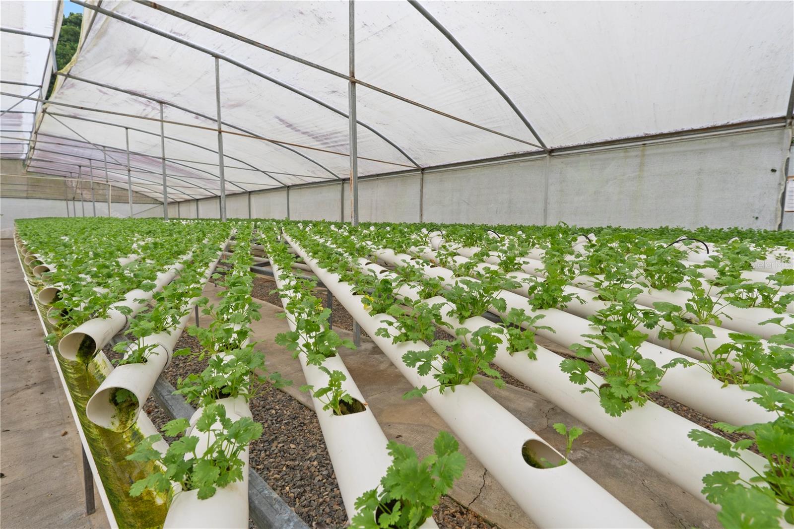 BO. HOYOS PLANES - Residential