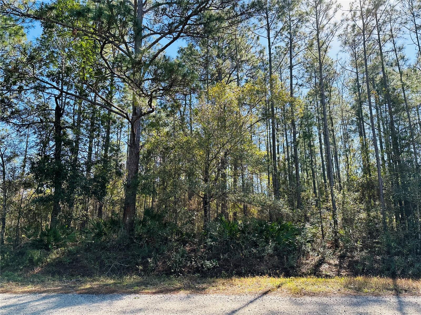 FLAGLER ESTATES UNIT 1 UNPLATTED - Land