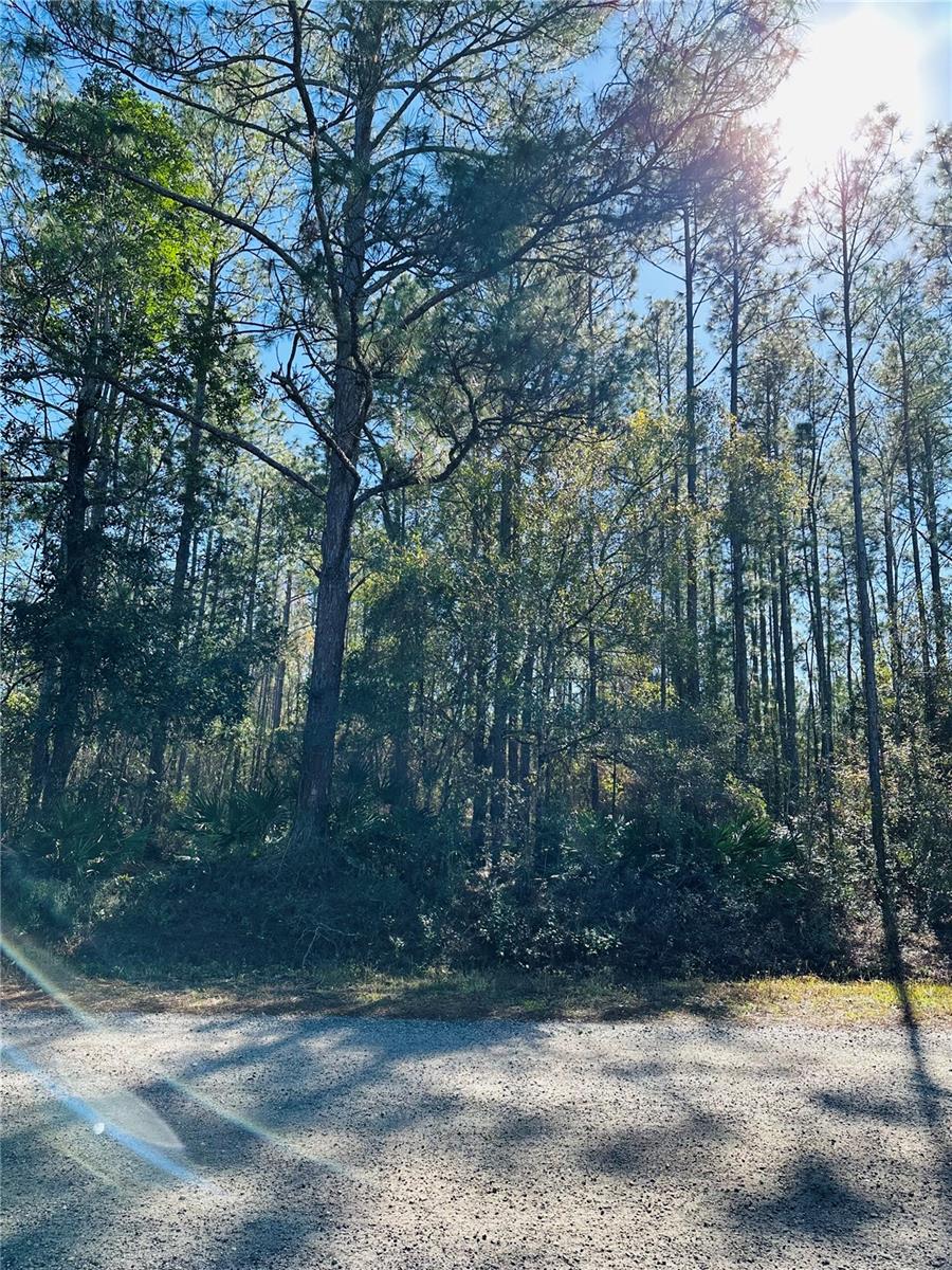 FLAGLER ESTATES UNIT 1 UNPLATTED - Land