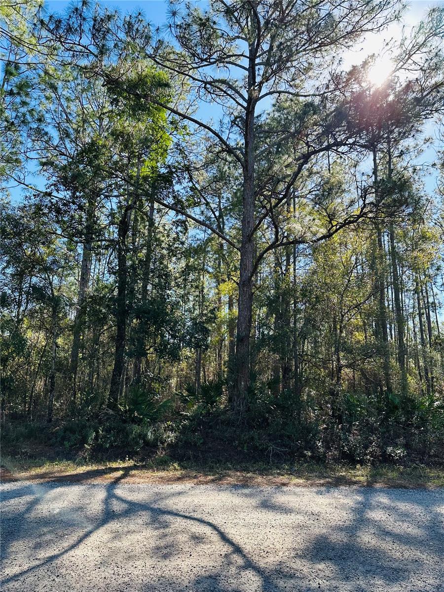 FLAGLER ESTATES UNIT 1 UNPLATTED - Land