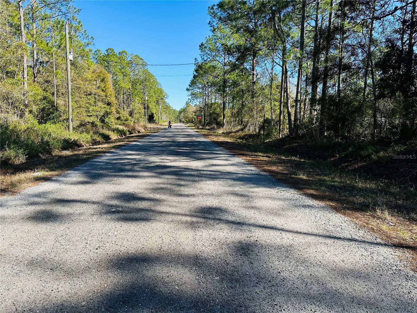 FLAGLER ESTATES UNIT 1 UNPLATTED - Land