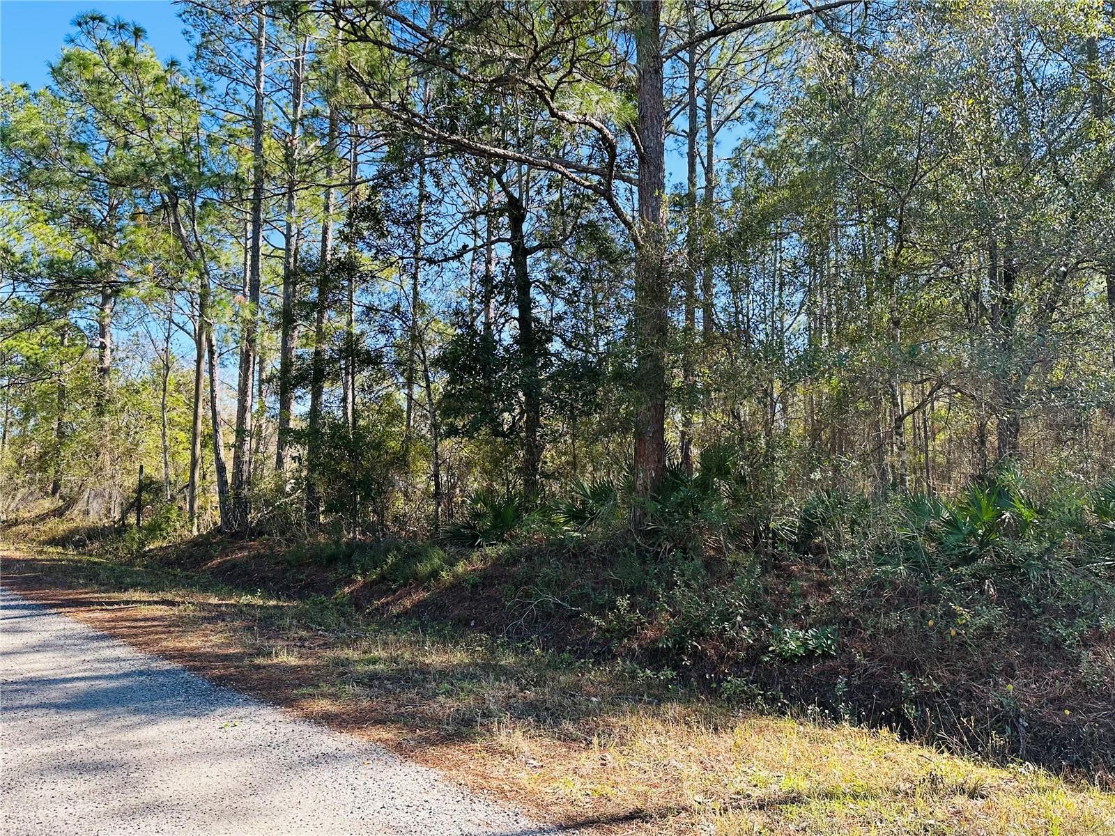 FLAGLER ESTATES UNIT 1 UNPLATTED - Land