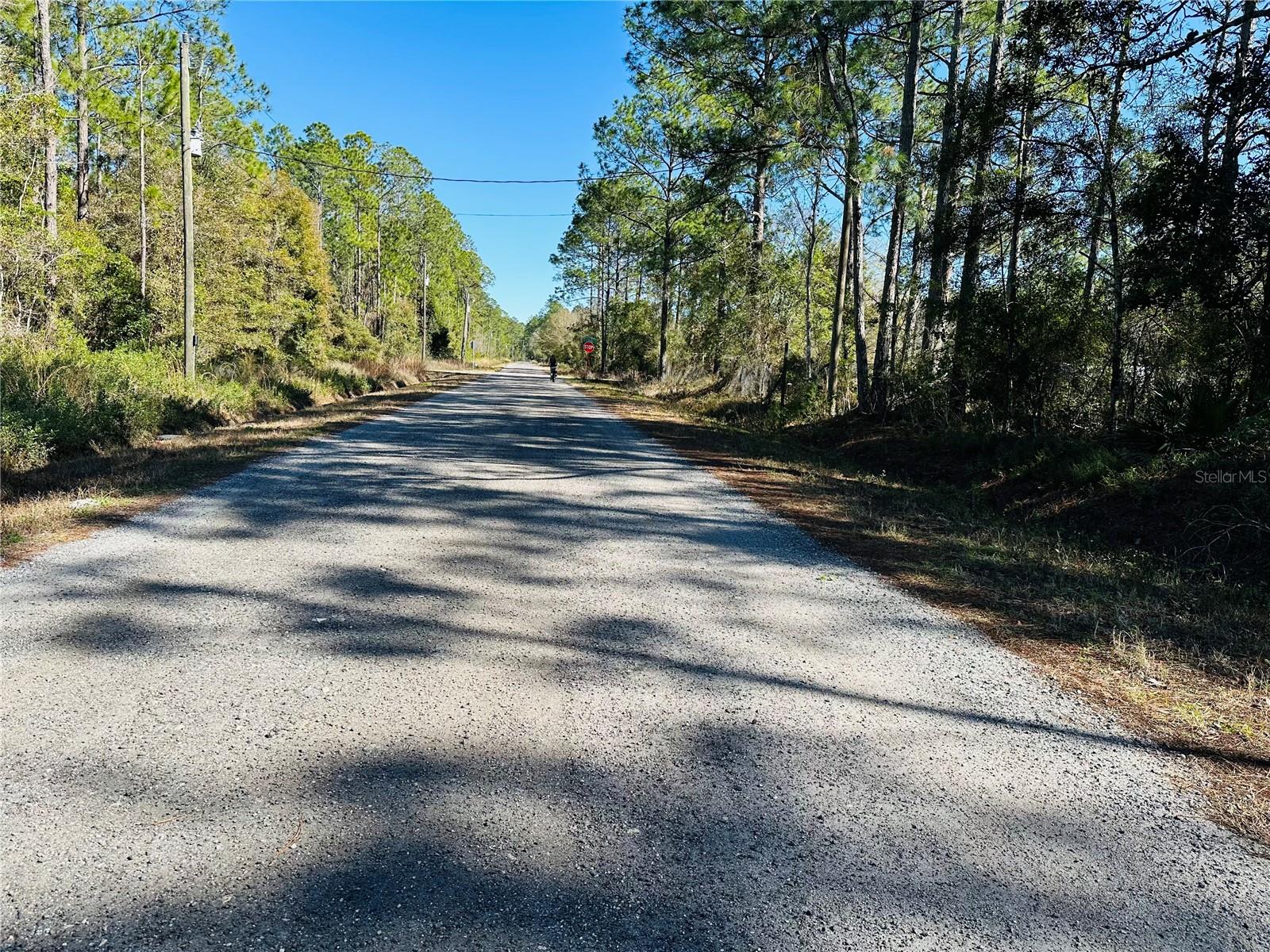 FLAGLER ESTATES UNIT 1 UNPLATTED - Land