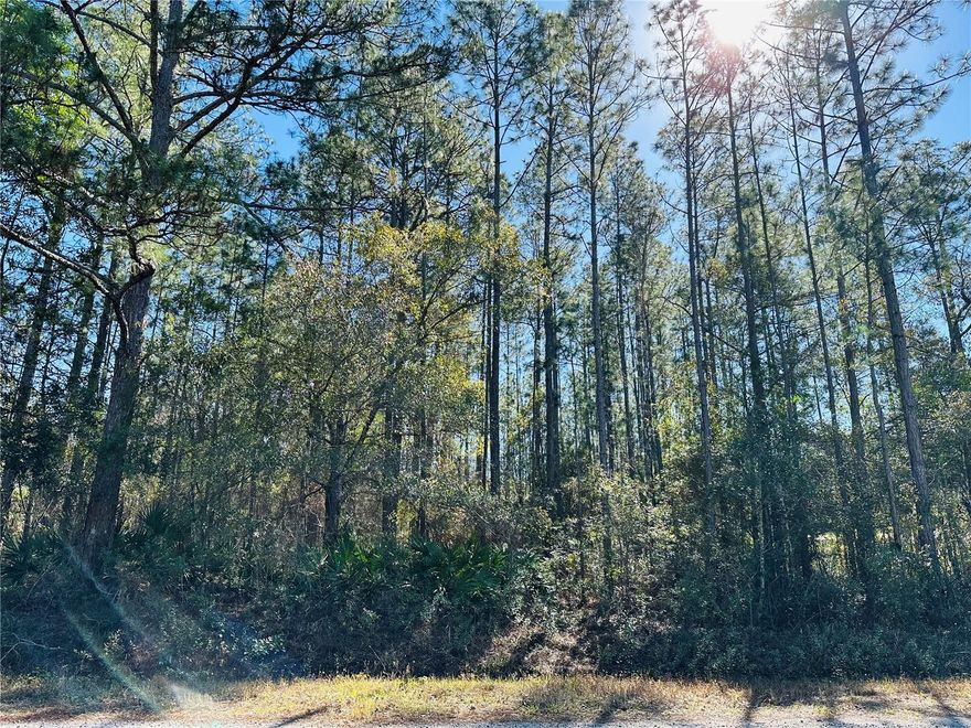 4315 Theresa St, Hastings, FL 32145

Discover 1.14 acres of peaceful countryside living! This spacious lot offers 165 feet of frontage and 300 feet of depth, facing north with an electricity pole conveniently located across the street for easy connection.

Build your dream home or a vacation retreat! With NO HOA, NO CDD, and no time limit to build, you have the freedom to create your ideal space. Zoned Open Residential (OR), this property allows for raising chickens, keeping horses, or planting bamboo trees.

Enjoy quiet country living while being just a short drive from Palm Coast, Palatka, Flagler Beach, and St. Augustine for shopping, dining, and entertainment.

?? Take a drive by today and see the possibilities!