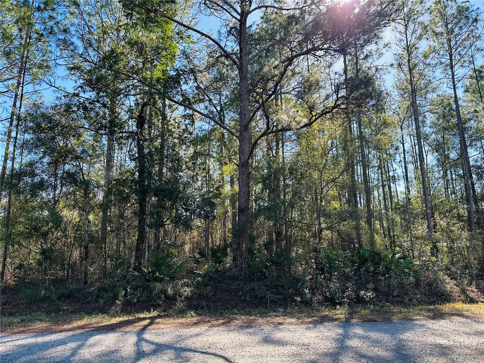 FLAGLER ESTATES UNIT 1 UNPLATTED - Land