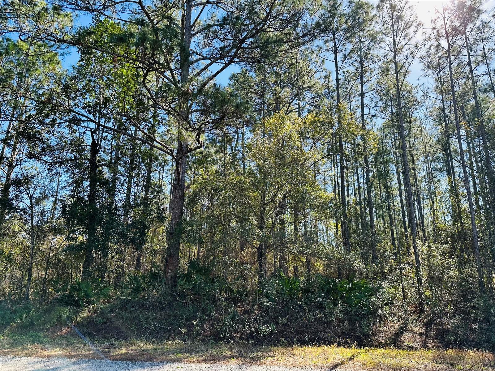 FLAGLER ESTATES UNIT 1 UNPLATTED - Land