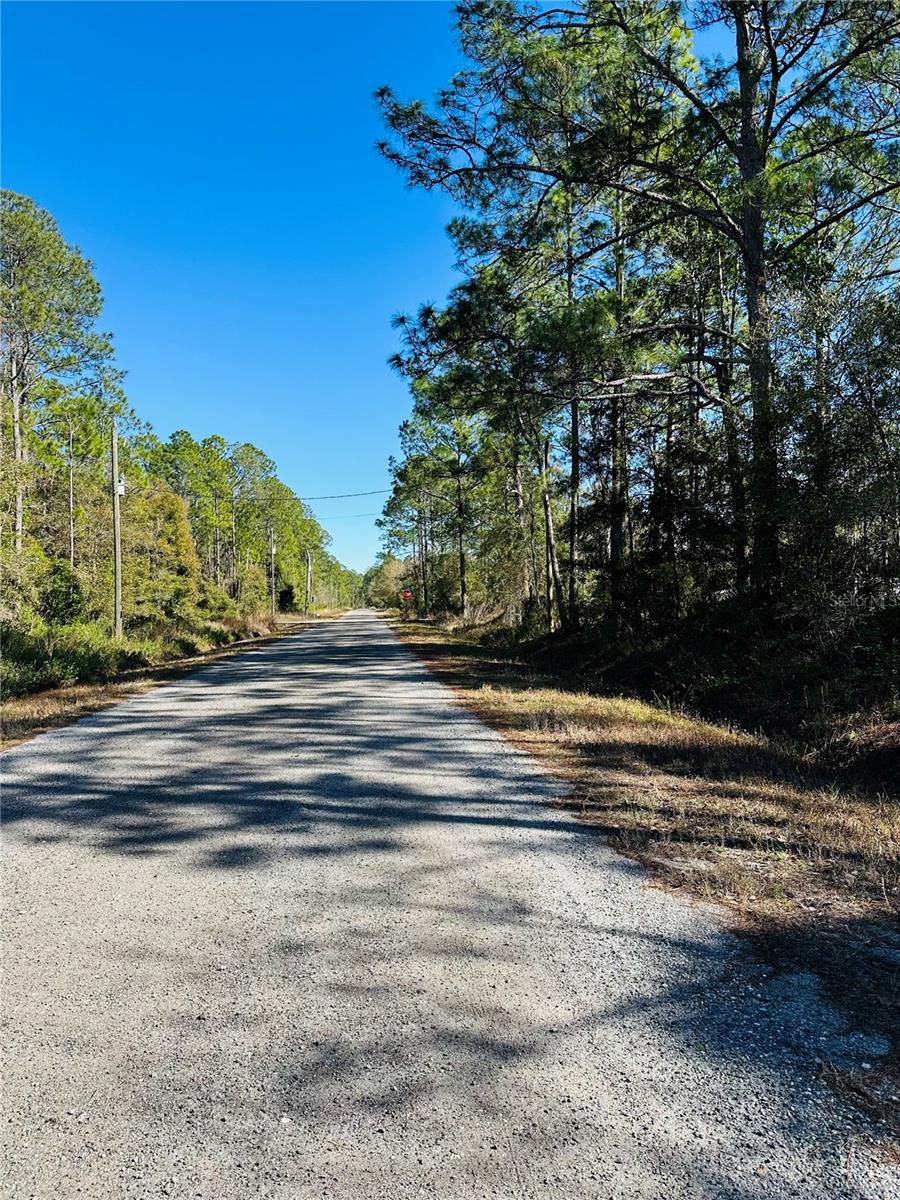FLAGLER ESTATES UNIT 1 UNPLATTED - Land