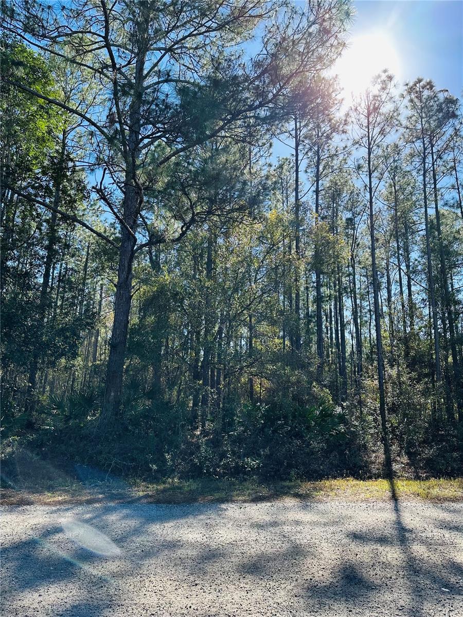 FLAGLER ESTATES UNIT 1 UNPLATTED - Land