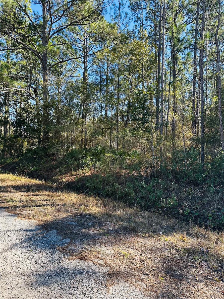 FLAGLER ESTATES UNIT 1 UNPLATTED - Land