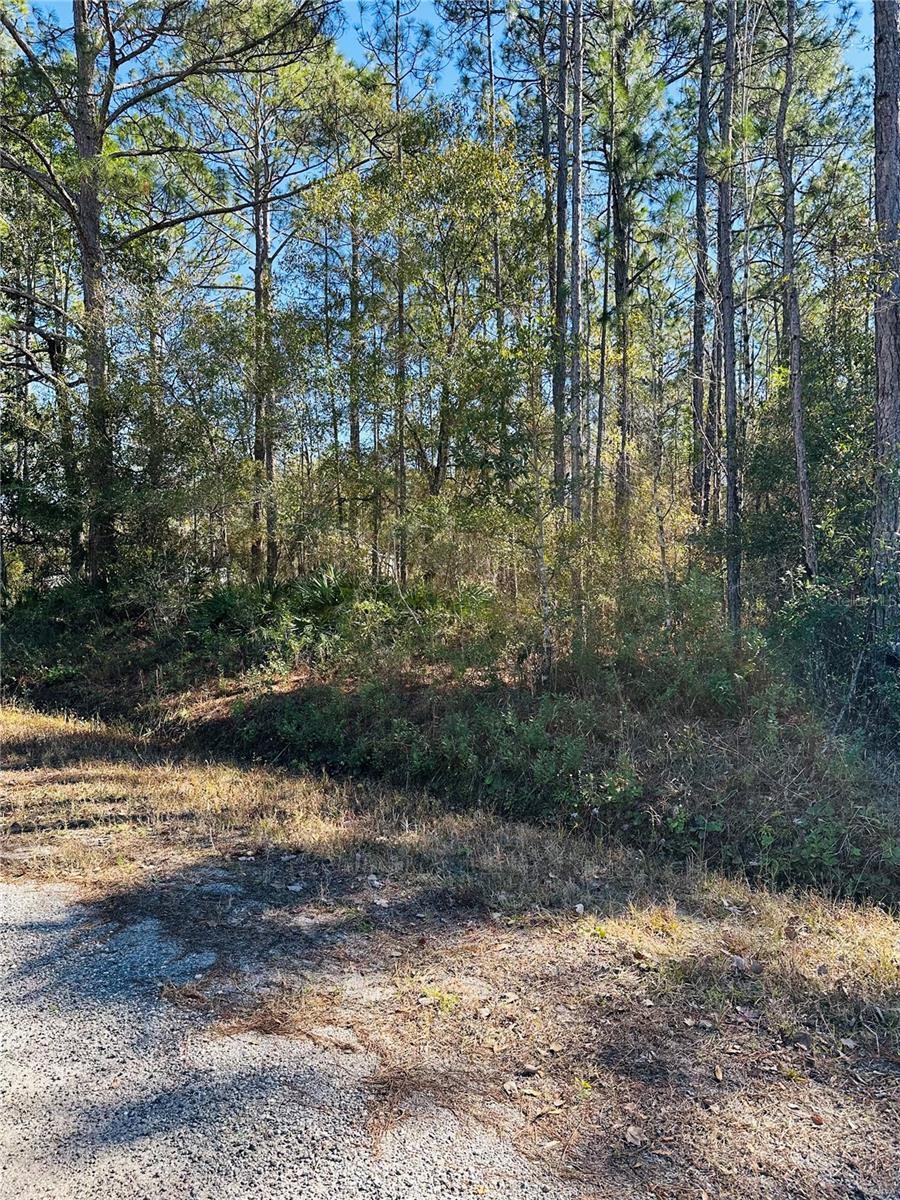 FLAGLER ESTATES UNIT 1 UNPLATTED - Land