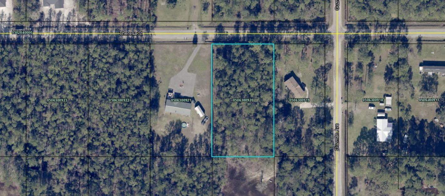 FLAGLER ESTATES UNIT 1 UNPLATTED - Land