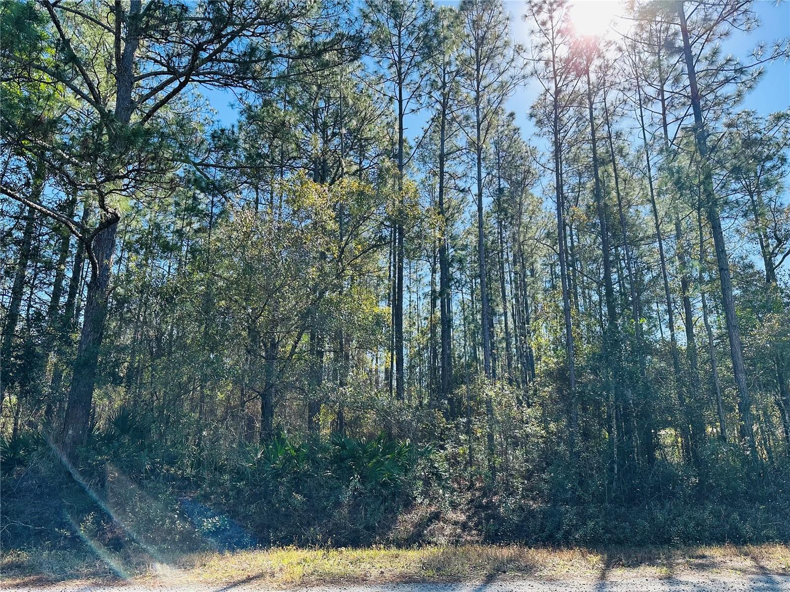 FLAGLER ESTATES UNIT 1 UNPLATTED - Land