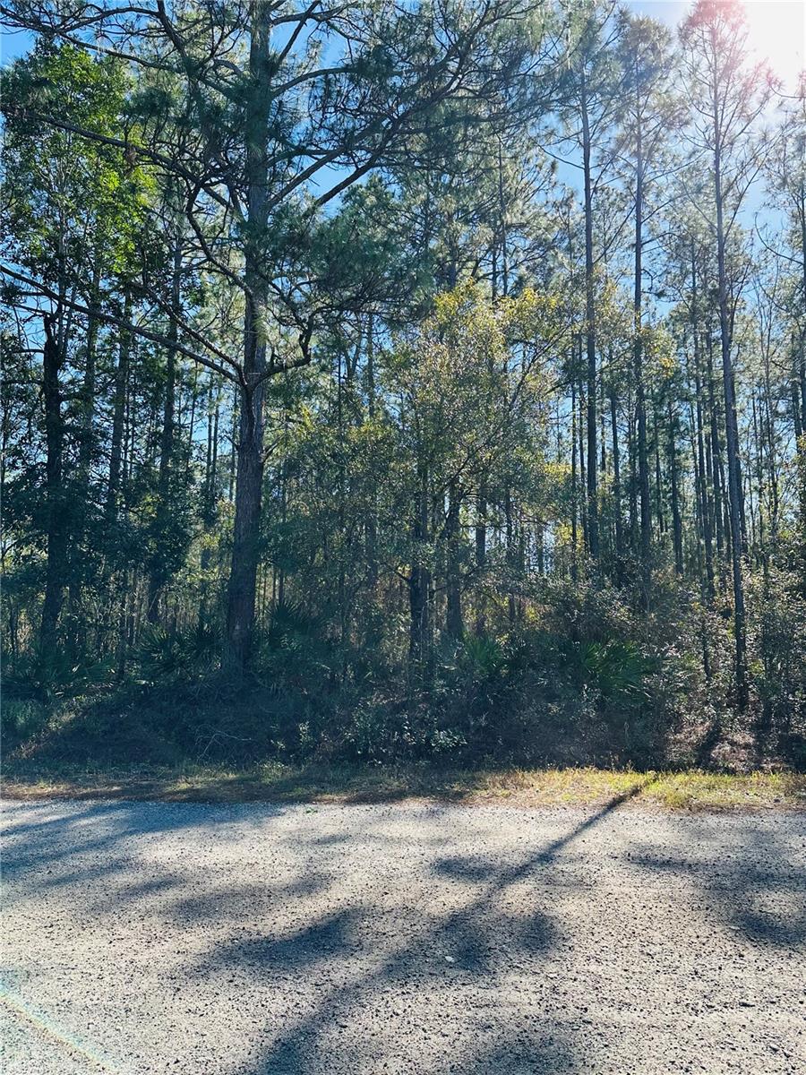 FLAGLER ESTATES UNIT 1 UNPLATTED - Land