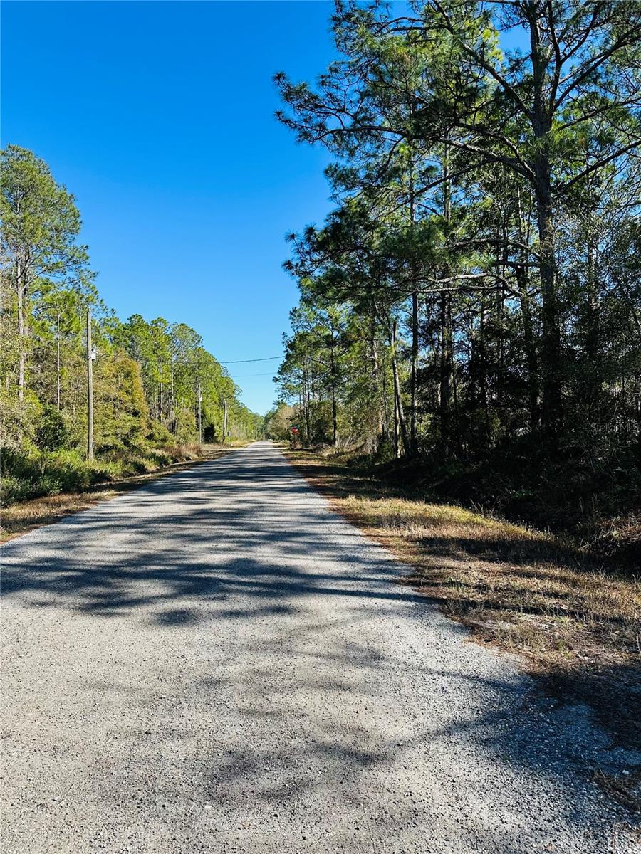 FLAGLER ESTATES UNIT 1 UNPLATTED - Land