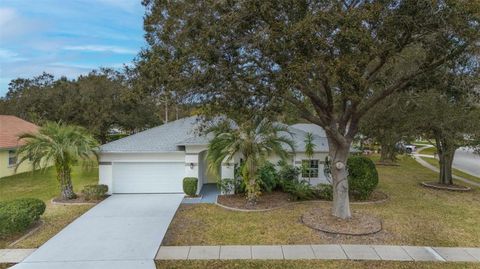 A home in PALM COAST