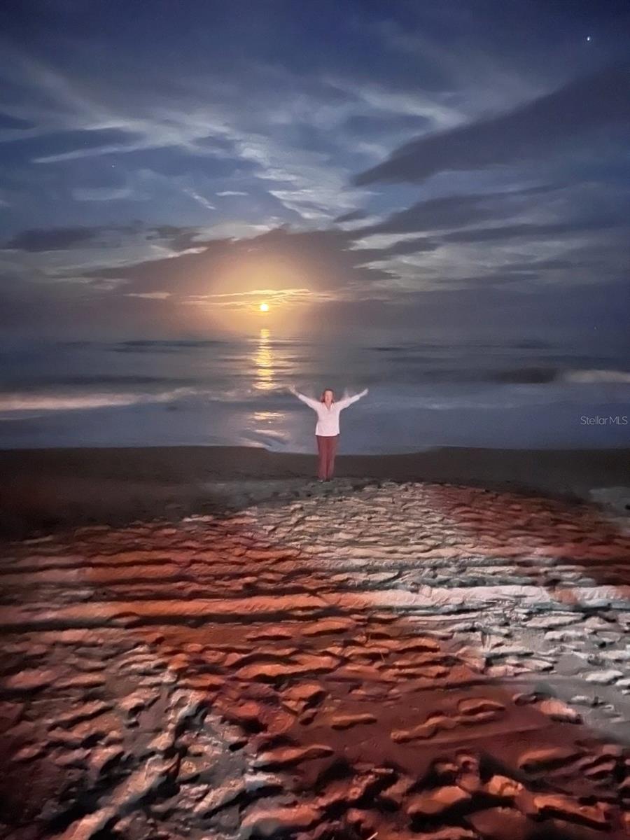 SEABRIDGE CONDO - Residential