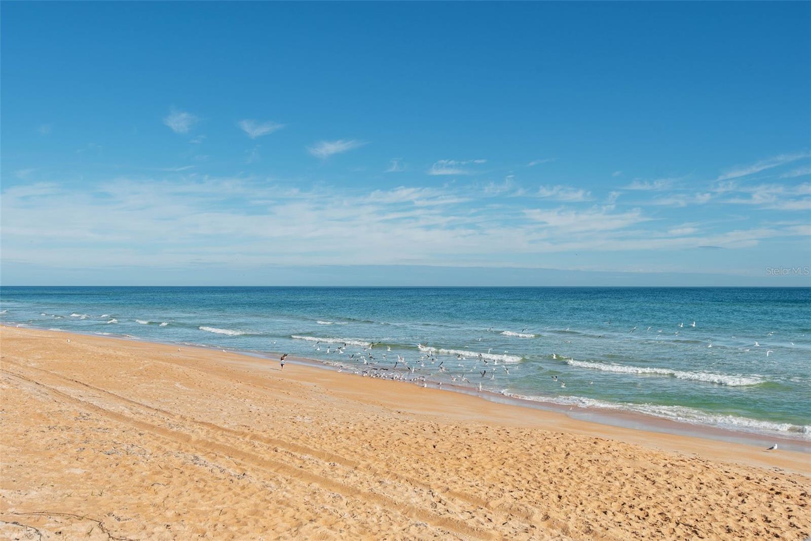 SEABRIDGE CONDO - Residential