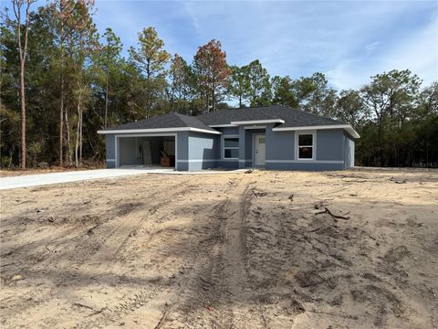 Photo of 7075 SW 198th Avenue, Dunnellon, FL 34431 (MLS # OM713590)