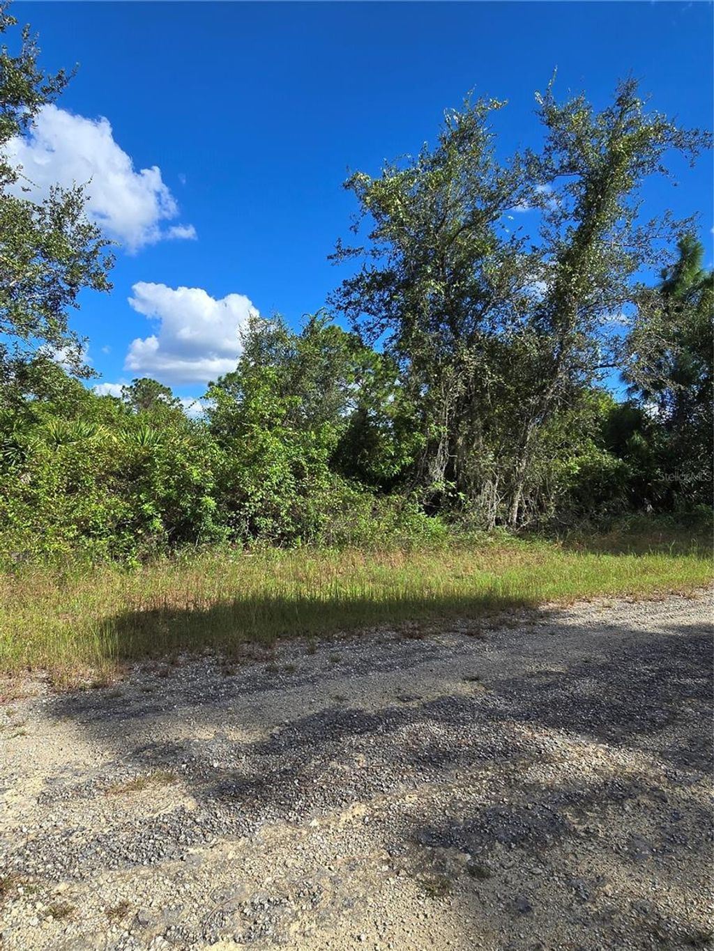 Photo of 419 Wilder Avenue S, Lehigh Acres, FL 33974 (MLS # O6354278)
