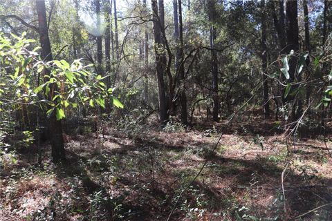 Photo of 00 SW 39 Street, Dunnellon, FL 34432 (MLS # OM712255) Photo of 00 SW 39 Street, Dunnellon, FL 34432 (MLS # OM712255)