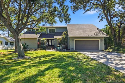 Photo of 800 Apalachee Drive NE, St Petersburg, FL 33702 (MLS # O6356625)