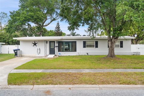 1307 BALTIMORE DRIVE ORLANDO FL 32810