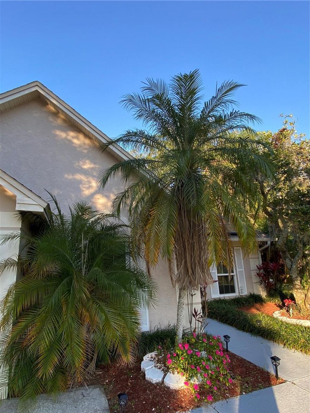 Photo of 4504 Cabbage Palm Drive, Valrico, FL 33596 (MLS # TB8375531)