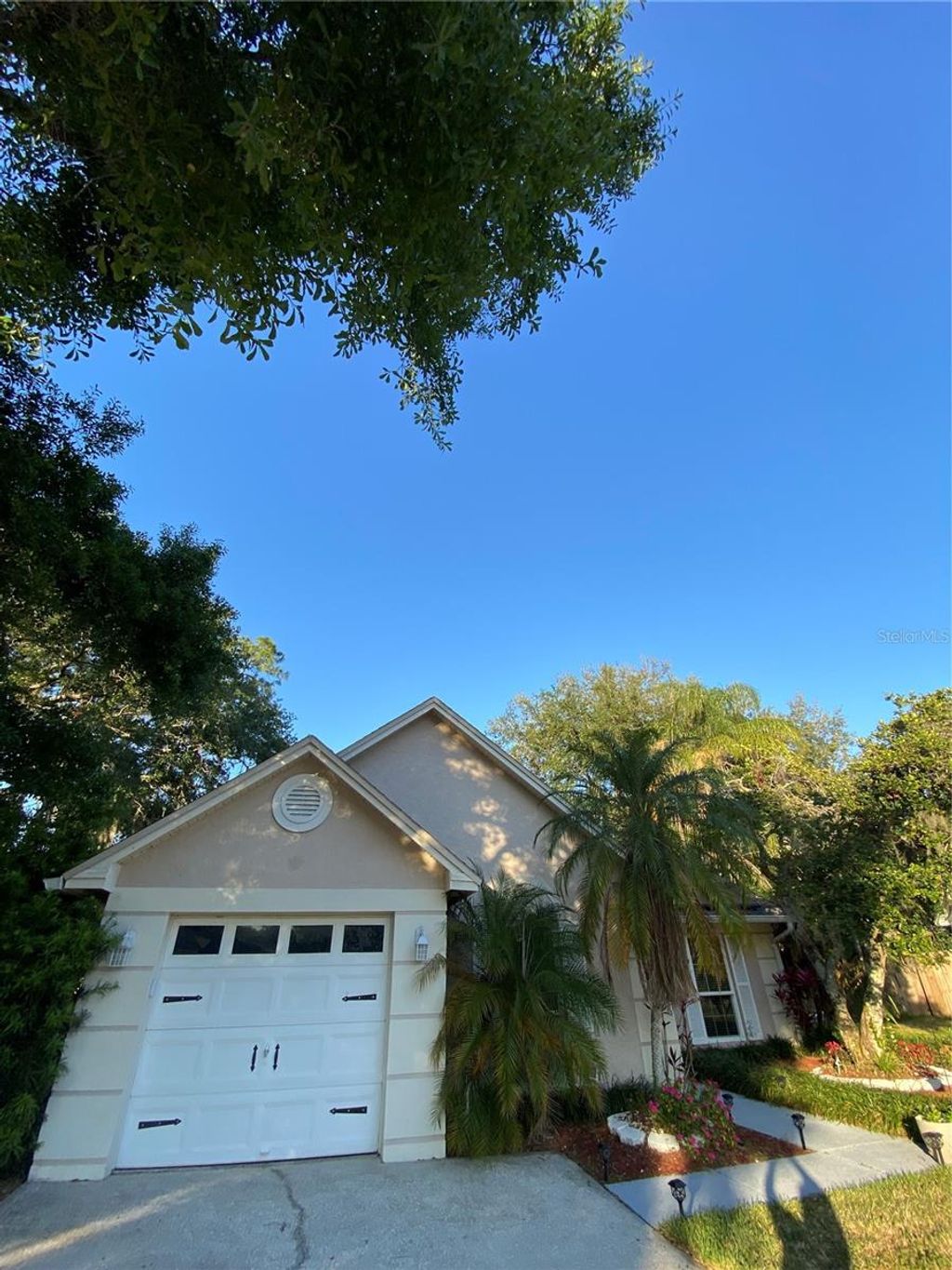 Photo of 4504 Cabbage Palm Drive, Valrico, FL 33596 (MLS # TB8375531)