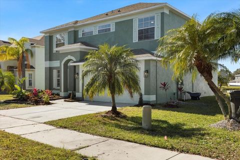 A home in RIVERVIEW