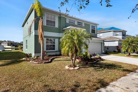 A home in RIVERVIEW