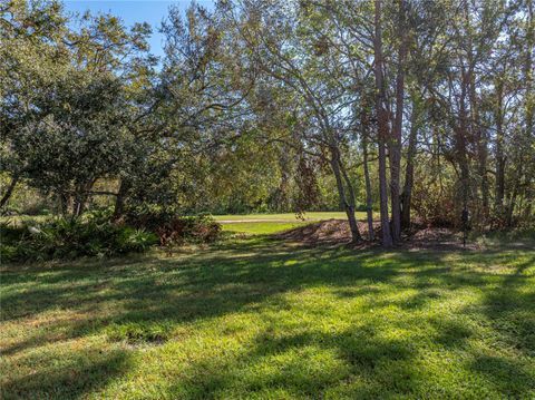 A home in ZEPHYRHILLS