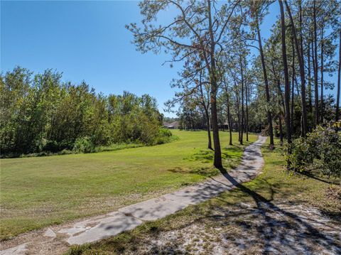 A home in ZEPHYRHILLS