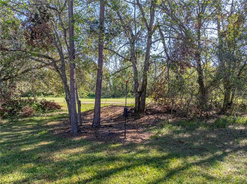 A home in ZEPHYRHILLS