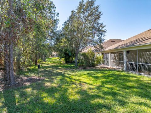 A home in ZEPHYRHILLS