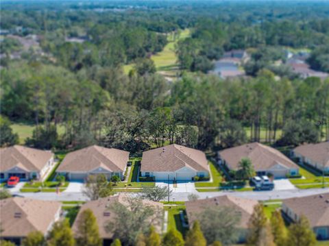 A home in ZEPHYRHILLS