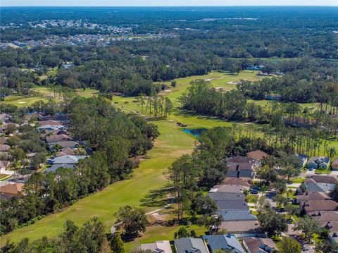 A home in ZEPHYRHILLS