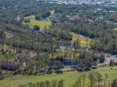 A home in ZEPHYRHILLS