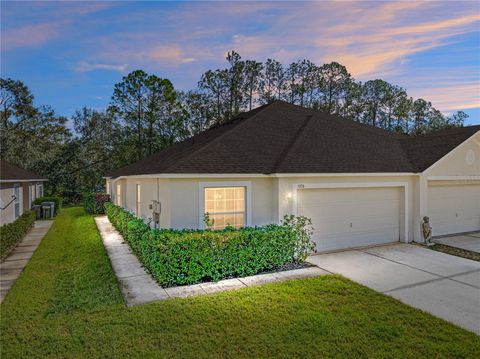 A home in ZEPHYRHILLS