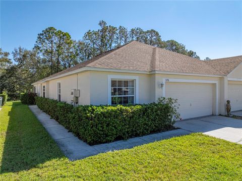 A home in ZEPHYRHILLS