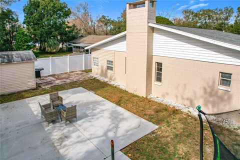 A home in MOUNT DORA