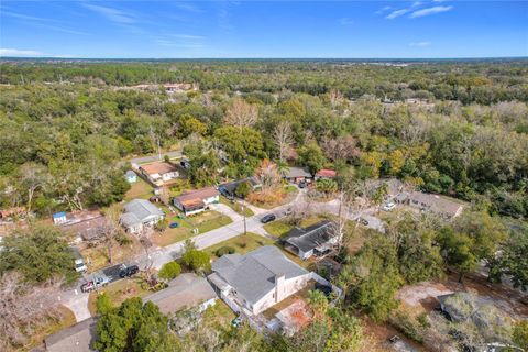 A home in MOUNT DORA