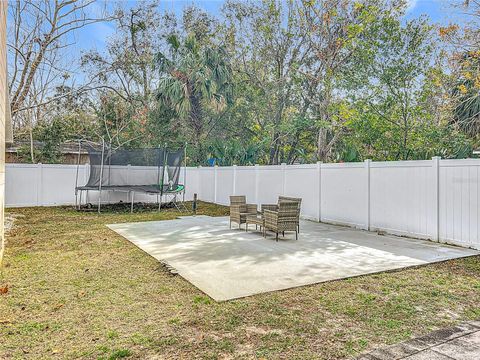 A home in MOUNT DORA